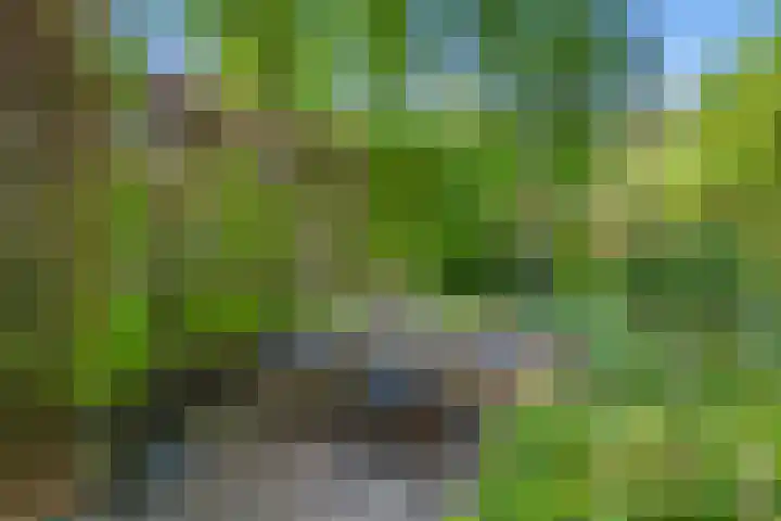Selterskampweg 66 Bennekom thumbnail 33