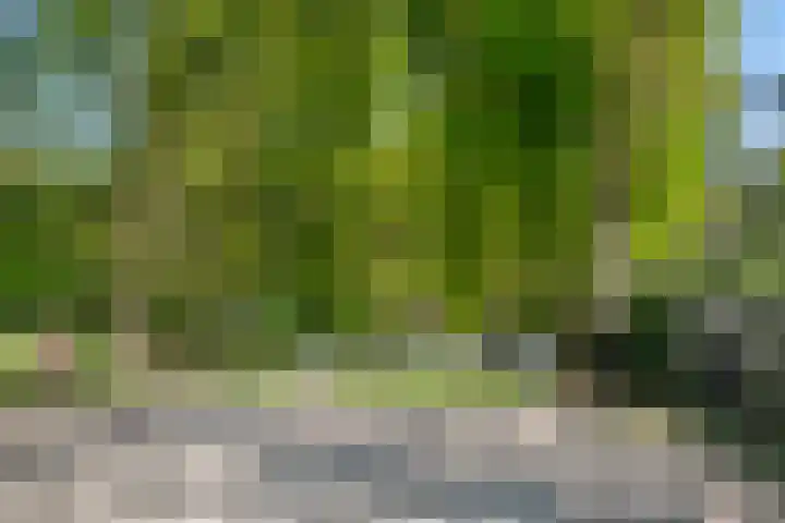 Selterskampweg 66 Bennekom thumbnail 35