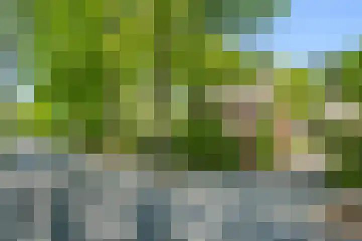 Selterskampweg 66 Bennekom thumbnail 36