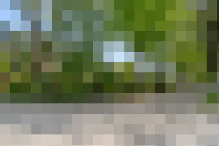 Selterskampweg 66 Bennekom thumbnail 37
