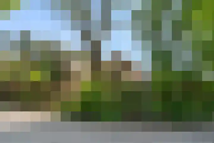 Selterskampweg 66 Bennekom thumbnail 38