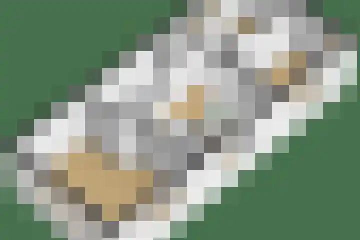 Selterskampweg 66 Bennekom thumbnail 43