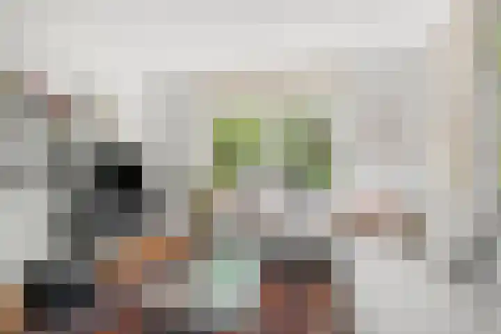 Selterskampweg 66 Bennekom thumbnail 8