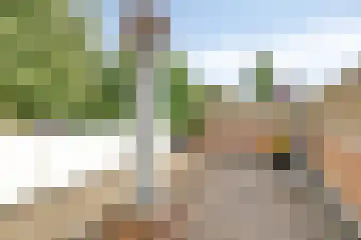 Selwerderdwarsstraat 10 Groningen thumbnail 30