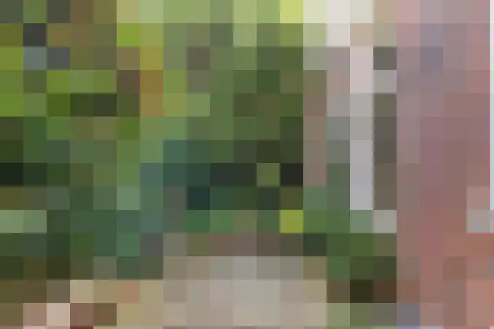 Selwerderdwarsstraat 10 Groningen thumbnail 36