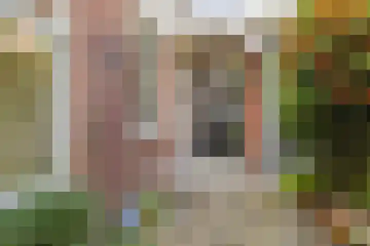Selwerderdwarsstraat 10 Groningen thumbnail 37