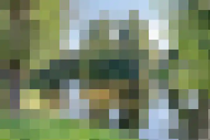 Selwerderdwarsstraat 10 Groningen thumbnail 39
