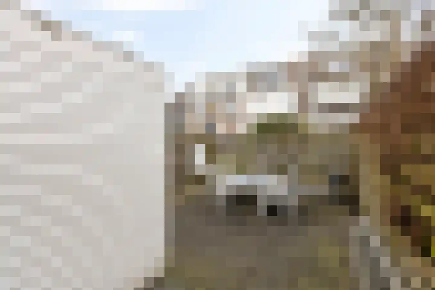 Selwerderdwarsstraat 19 Groningen thumbnail 26