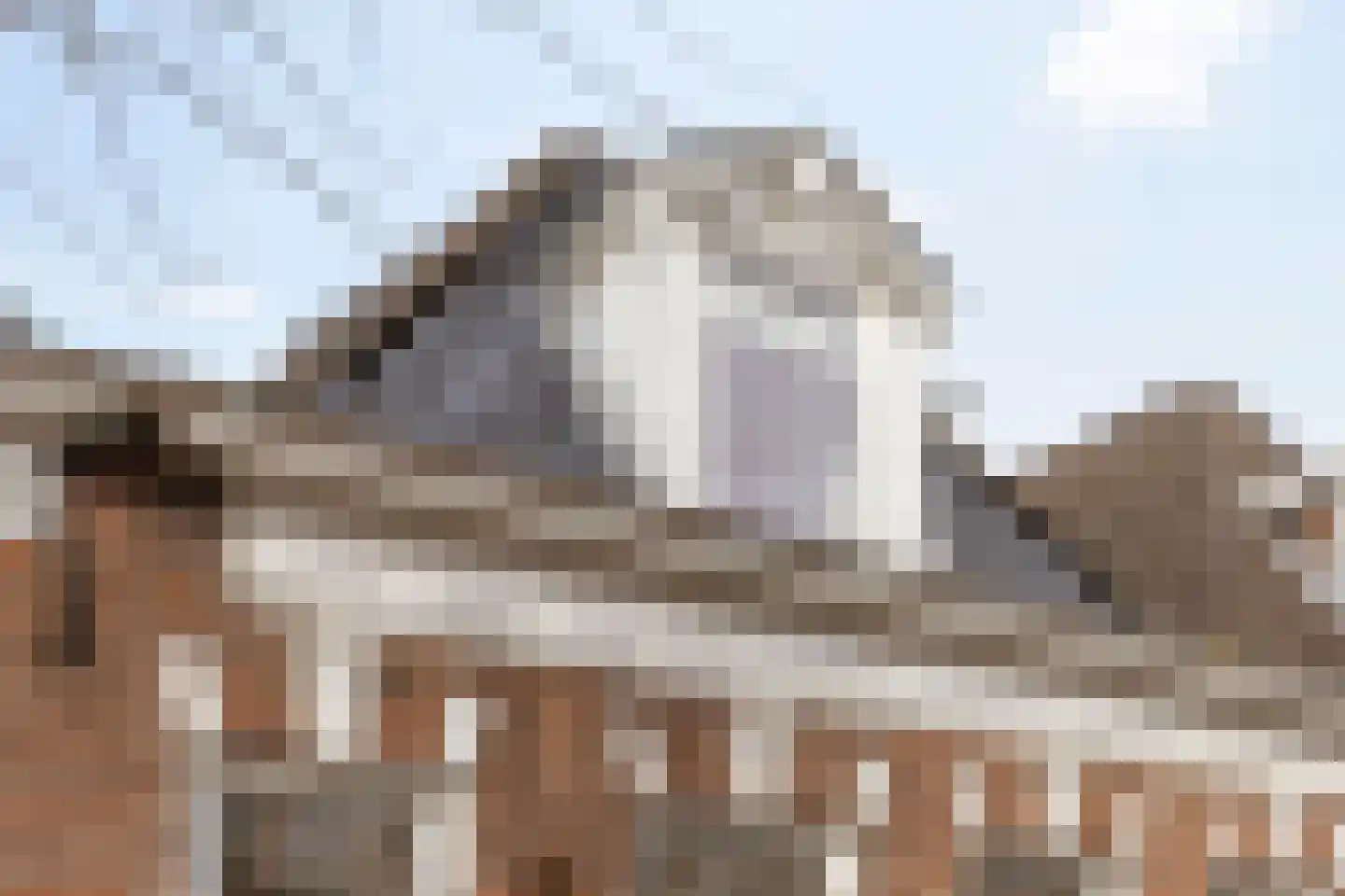 Selwerderdwarsstraat 19 Groningen thumbnail 5