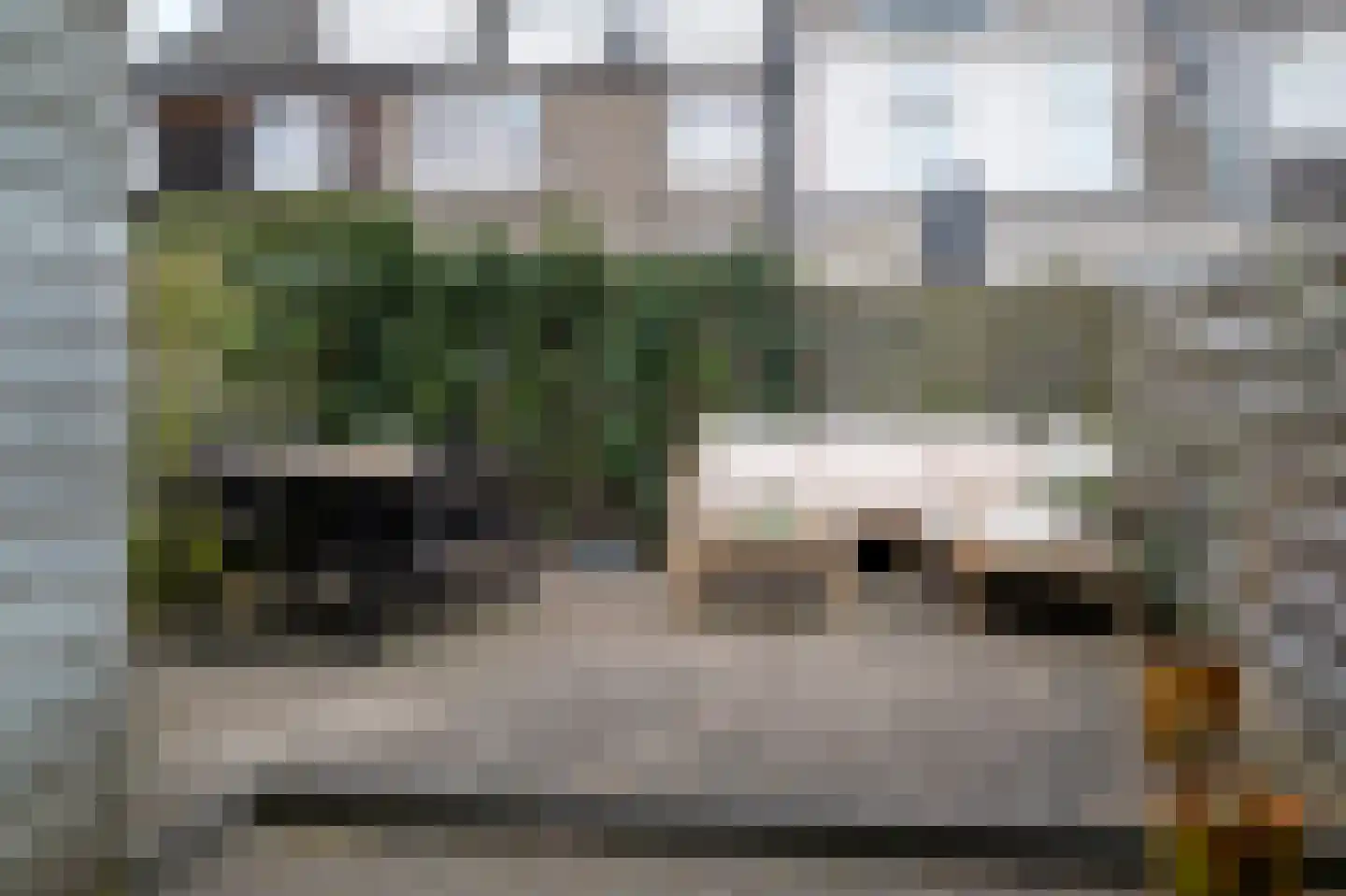 Selwerderdwarsstraat 21 Groningen thumbnail 46