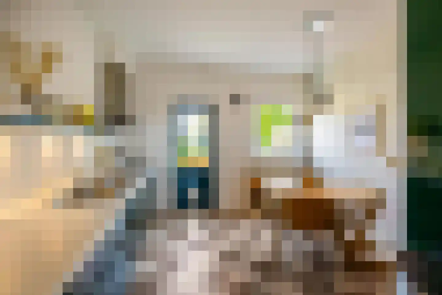 Selwerderdwarsstraat 4 a Groningen thumbnail 21