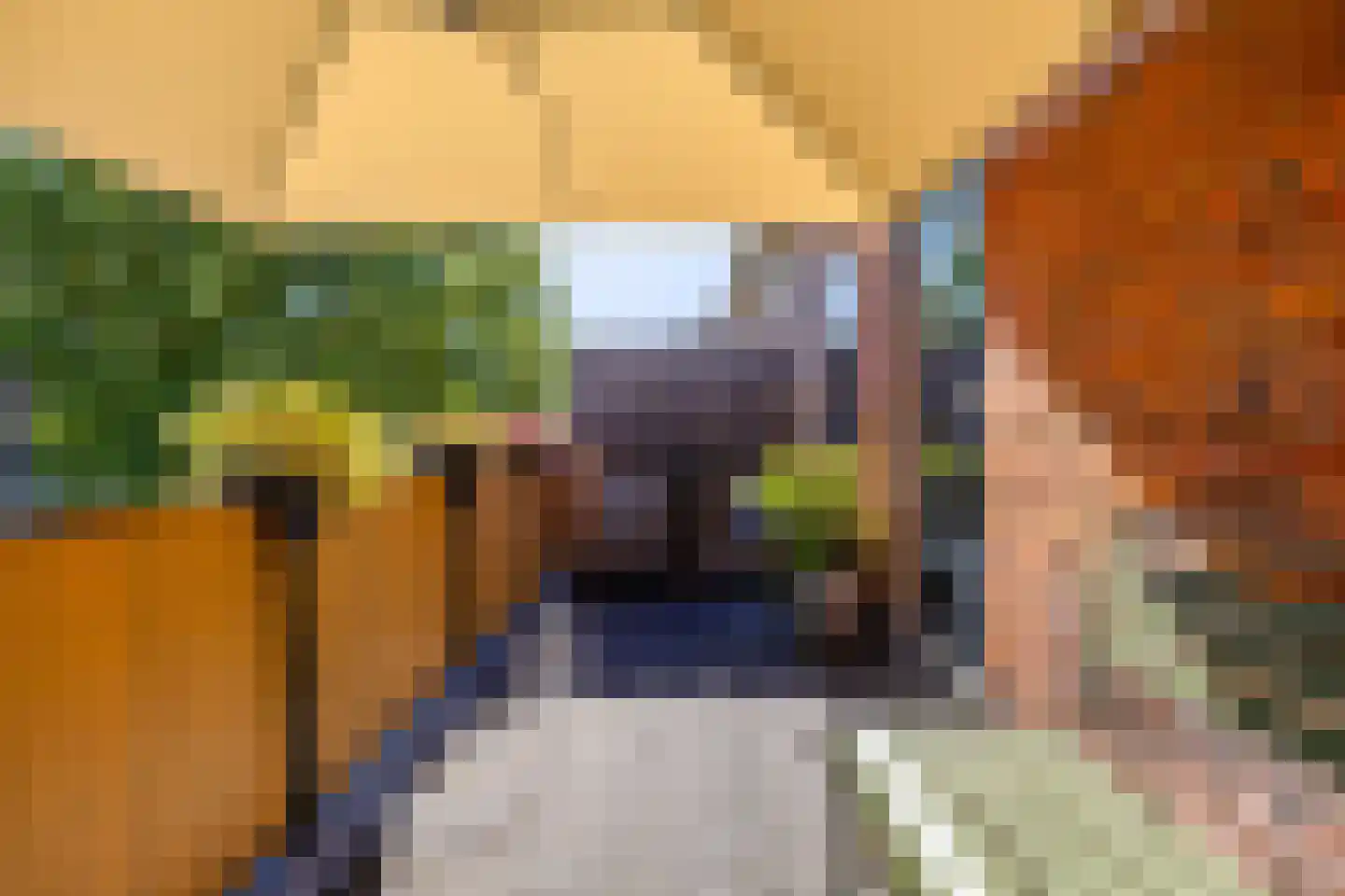 Selwerderdwarsstraat 4 a Groningen thumbnail 25