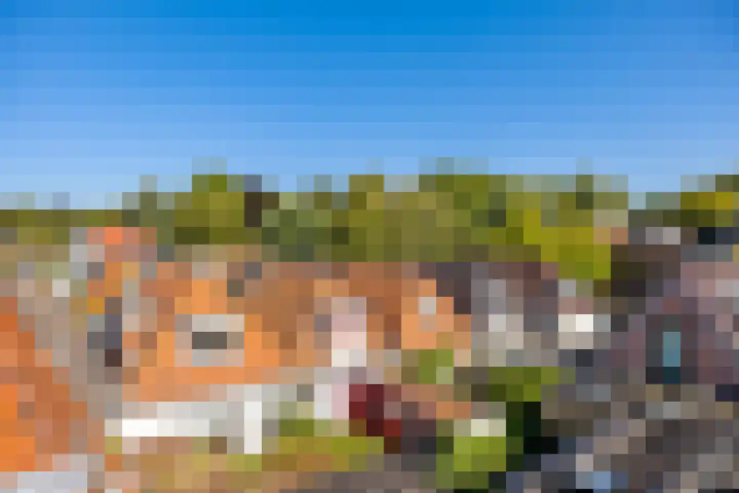 Selwerderdwarsstraat 4 a Groningen thumbnail 35