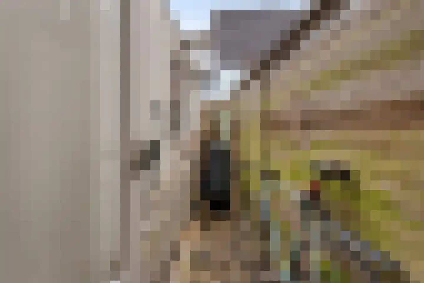 Selwerderstraat 1 Groningen thumbnail 24