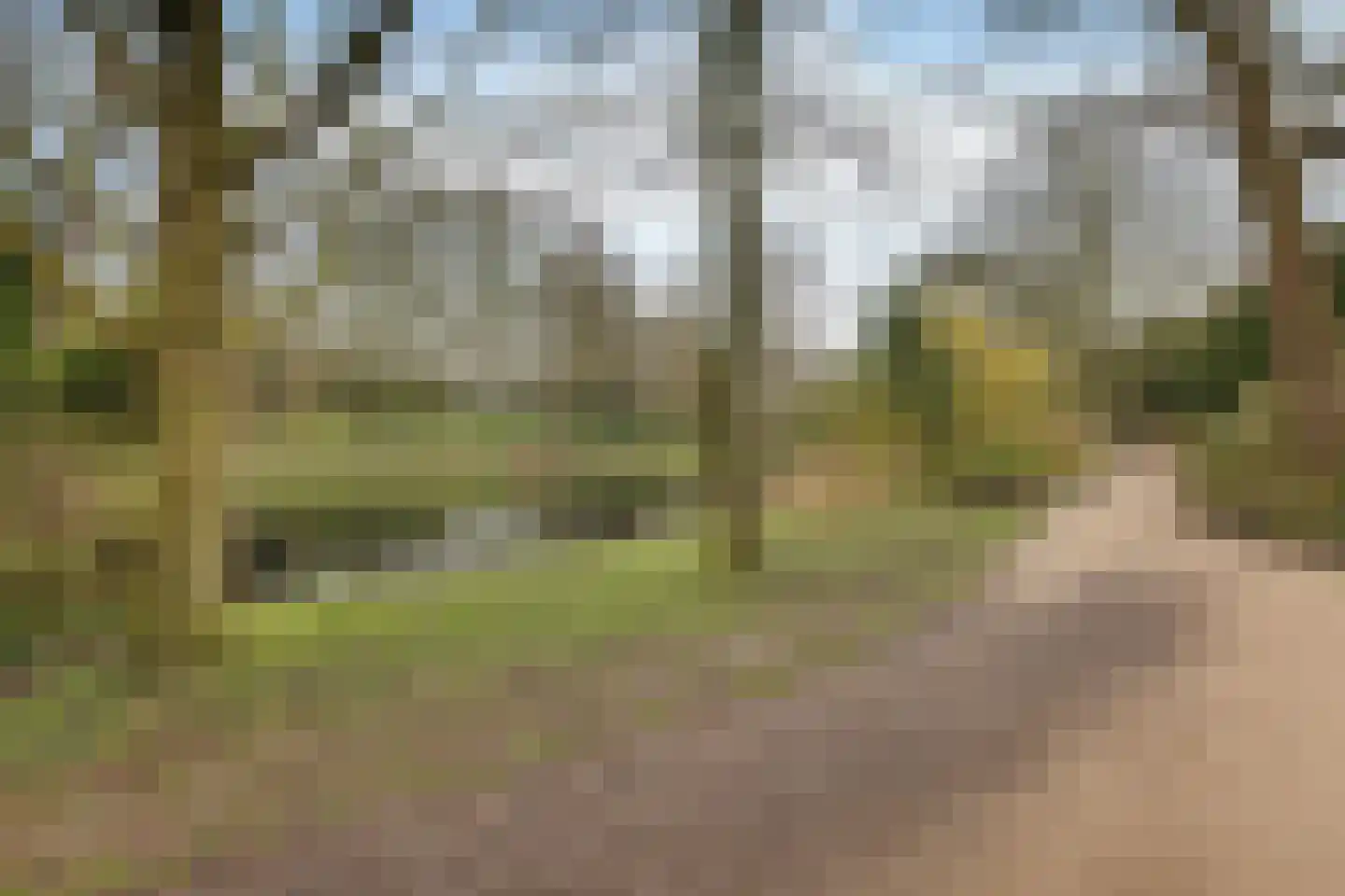 Selwerderstraat 1 Groningen thumbnail 42