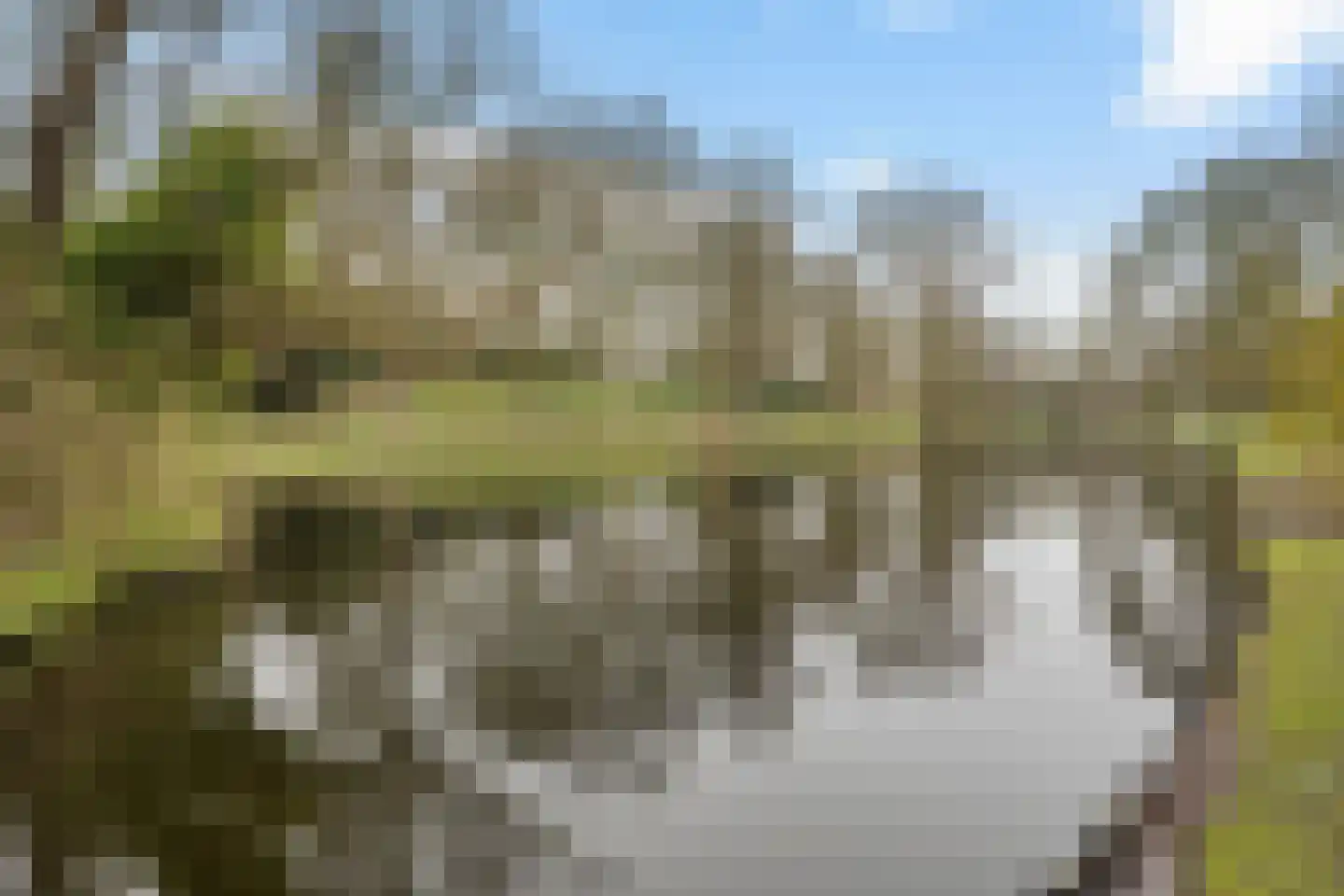 Selwerderstraat 1 Groningen thumbnail 43