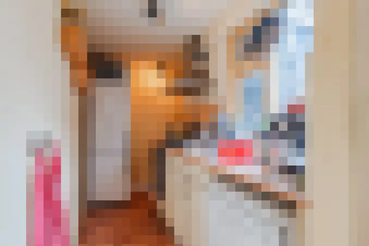 Selwerderstraat 14 Groningen thumbnail 13