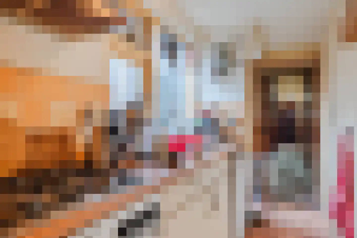 Selwerderstraat 14 Groningen thumbnail 14