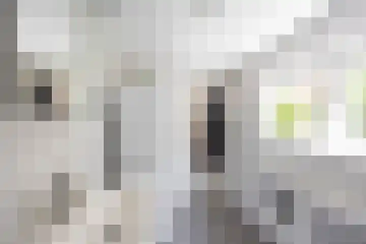 Selwerderstraat 20 Groningen thumbnail 15