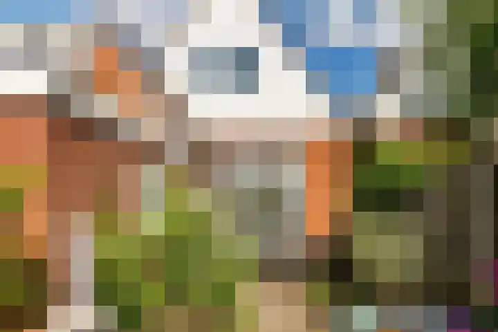 Selwerderstraat 20 Groningen thumbnail 28