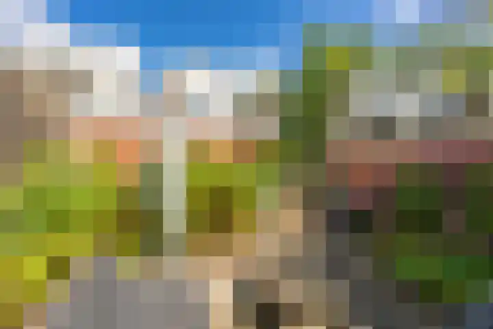 Selwerderstraat 20 Groningen thumbnail 30