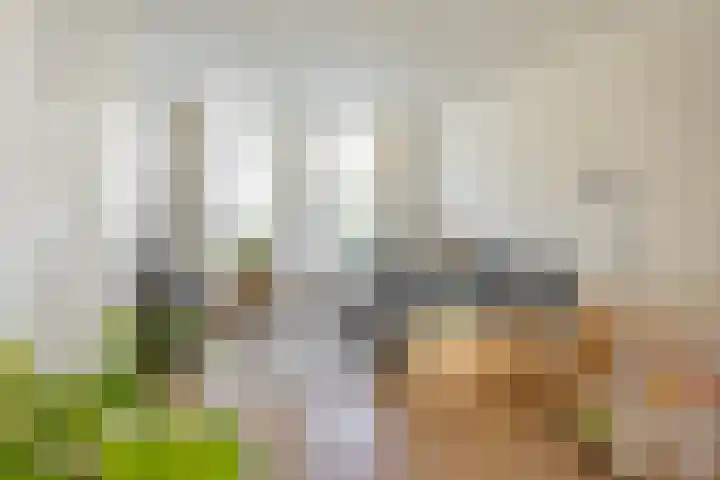 Selwerderstraat 20 Groningen thumbnail 4