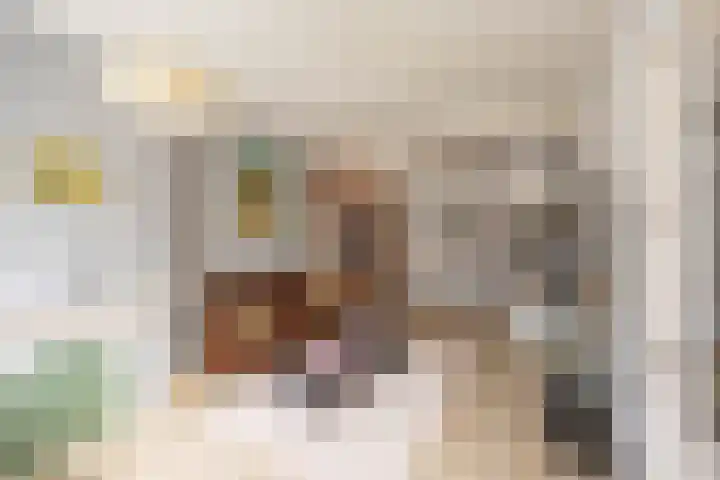 Selwerderstraat 21 in Groningen