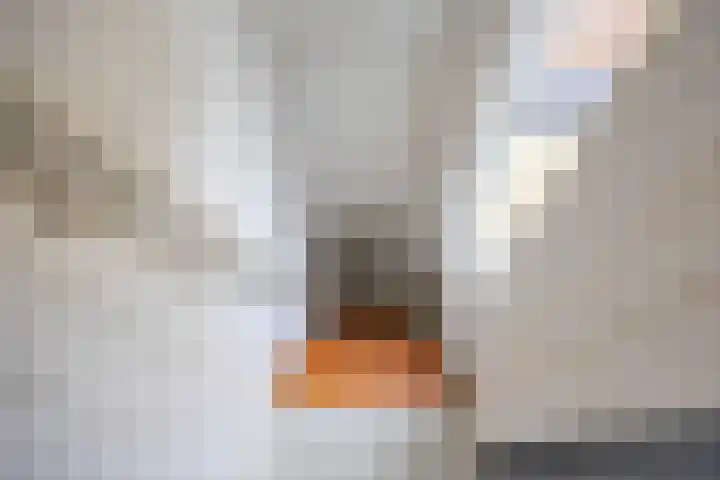 Selwerderstraat 21 Groningen thumbnail 38