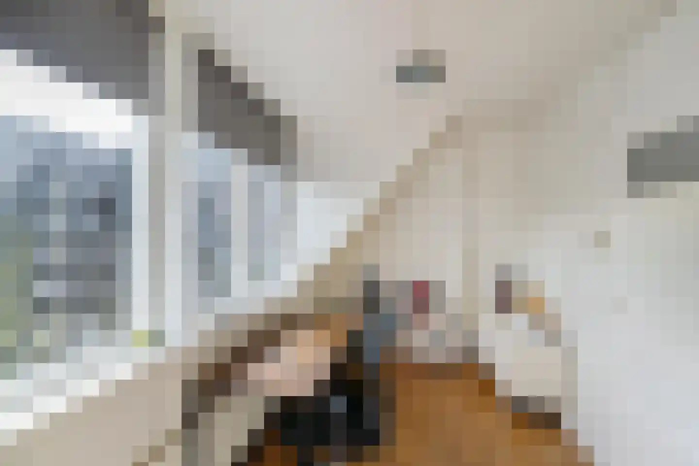 Selwerderstraat 25 Groningen thumbnail 14