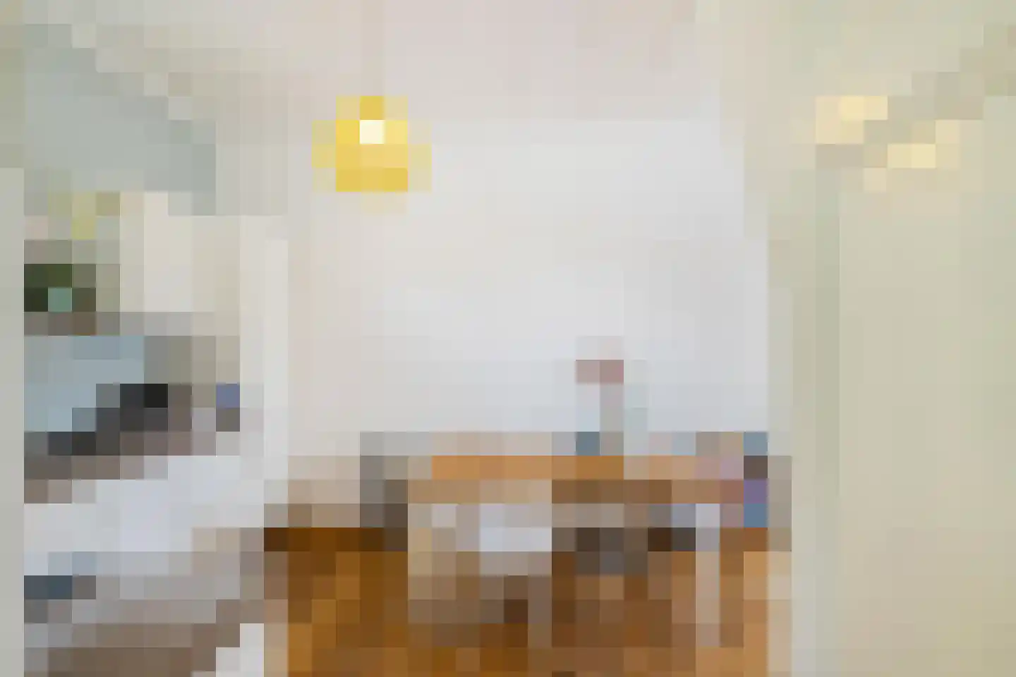 Selwerderstraat 25 Groningen thumbnail 7