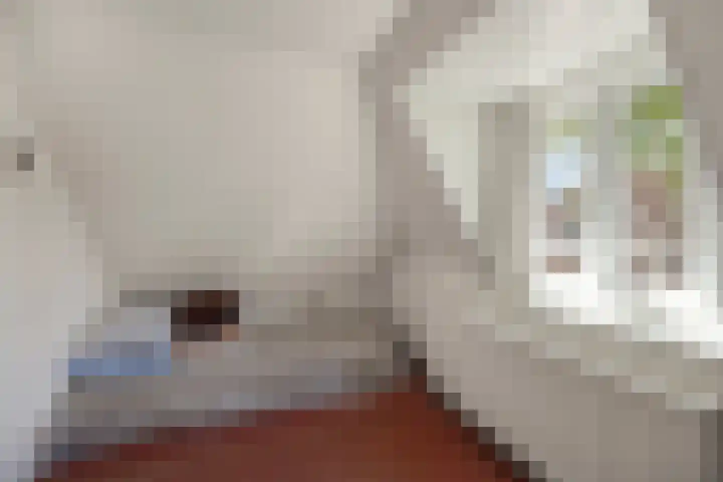 Selwerderstraat 29 Groningen thumbnail 19
