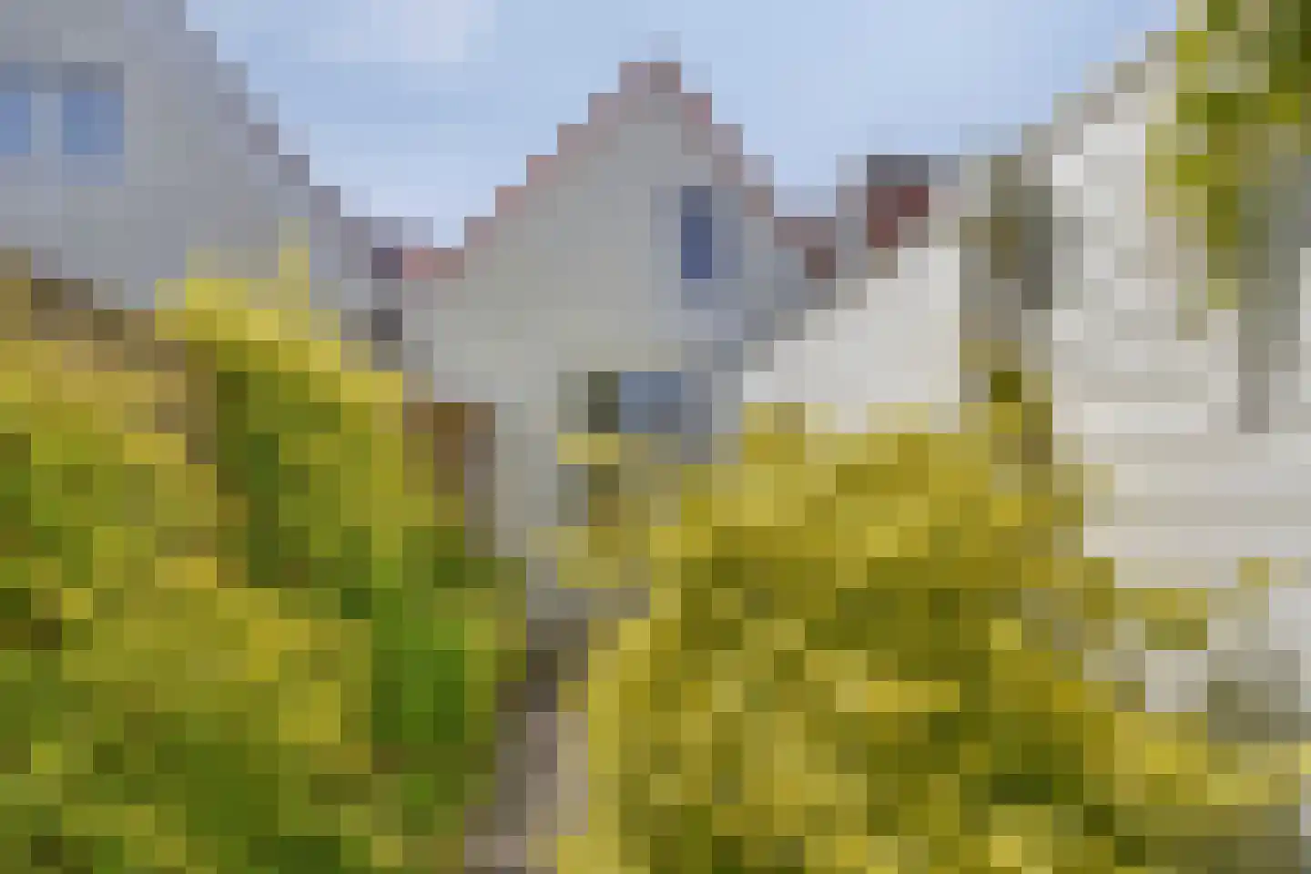Selwerderstraat 29 Groningen thumbnail 21