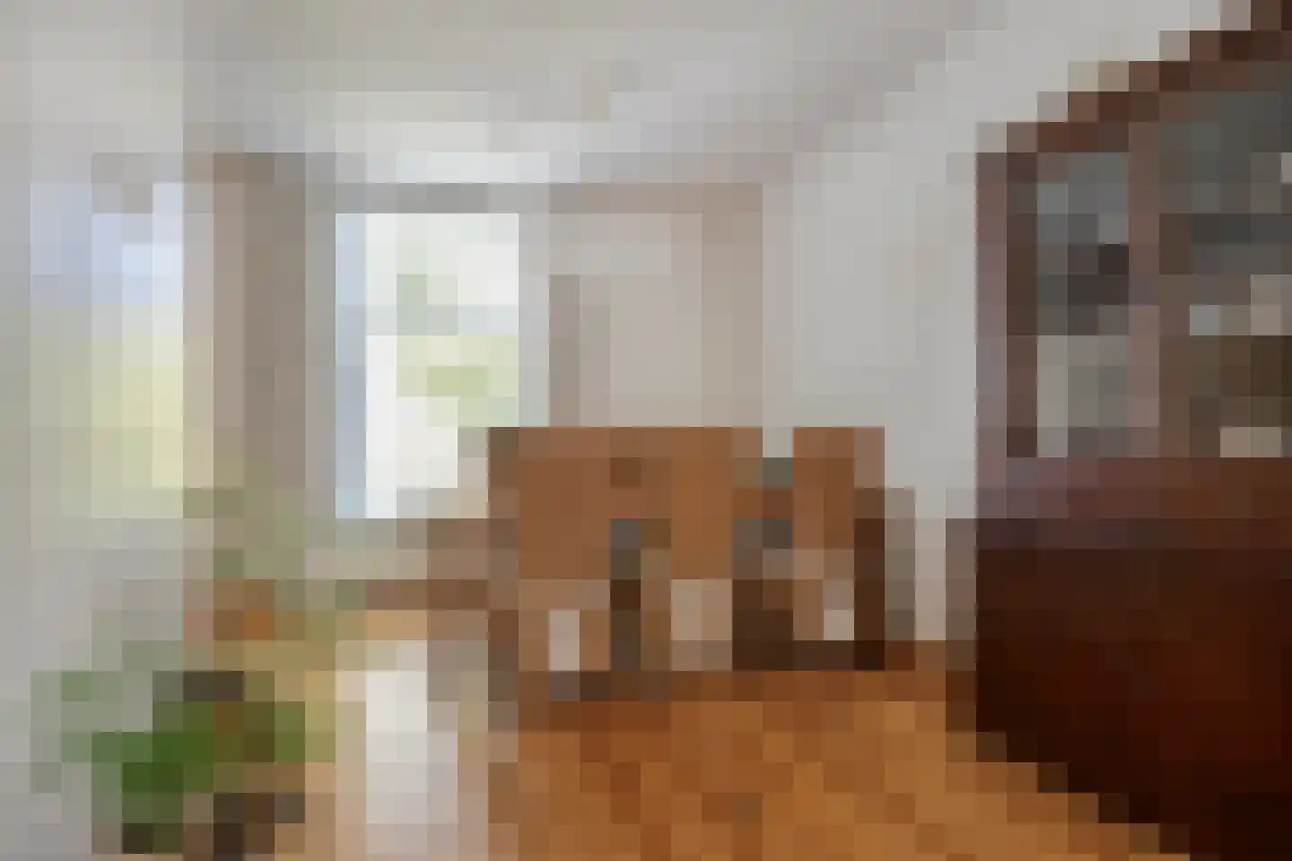 Selwerderstraat 29 Groningen thumbnail 8