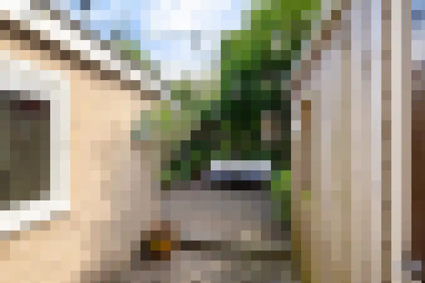 Selwerderstraat 3 Groningen thumbnail 24
