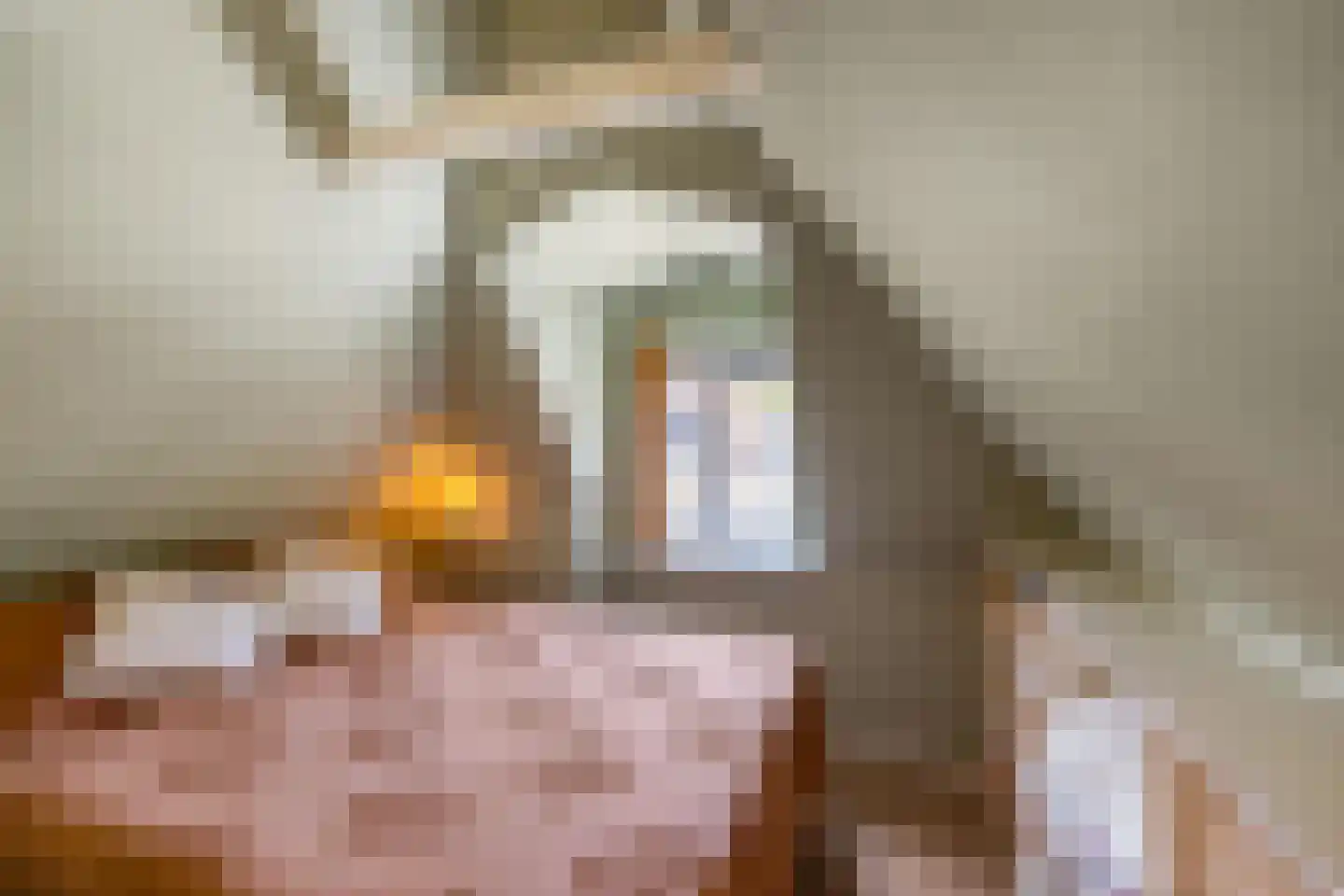 Selwerderstraat 3 Groningen thumbnail 29