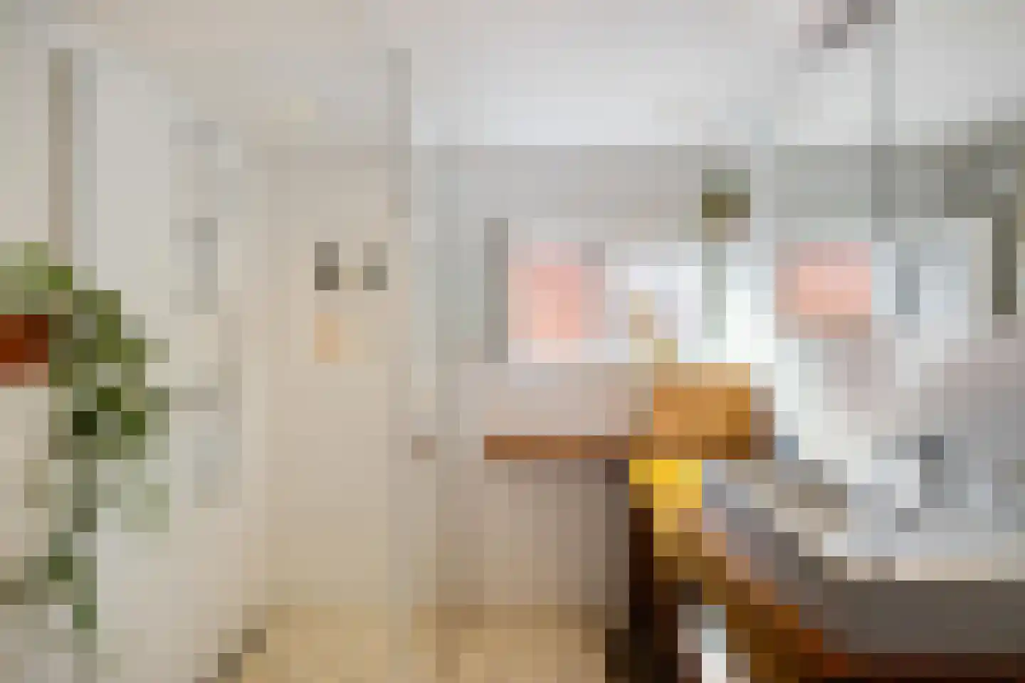 Selwerderstraat 3 Groningen thumbnail 31