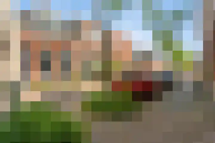 Selwerderstraat 34 Groningen thumbnail 11