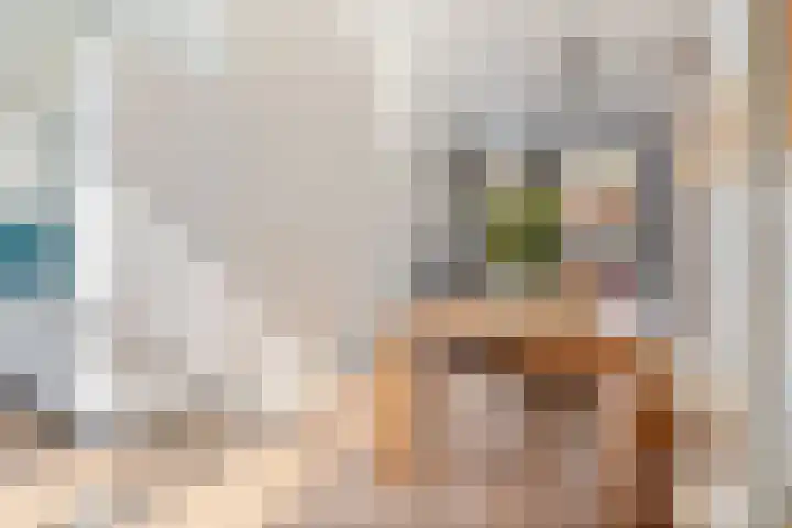 Selwerderstraat 34 Groningen thumbnail 20