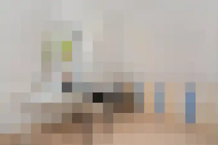 Selwerderstraat 34 Groningen thumbnail 29