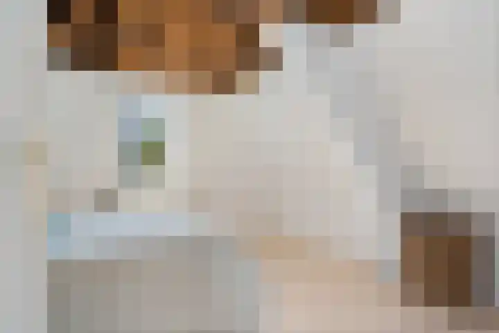 Selwerderstraat 34 Groningen thumbnail 32