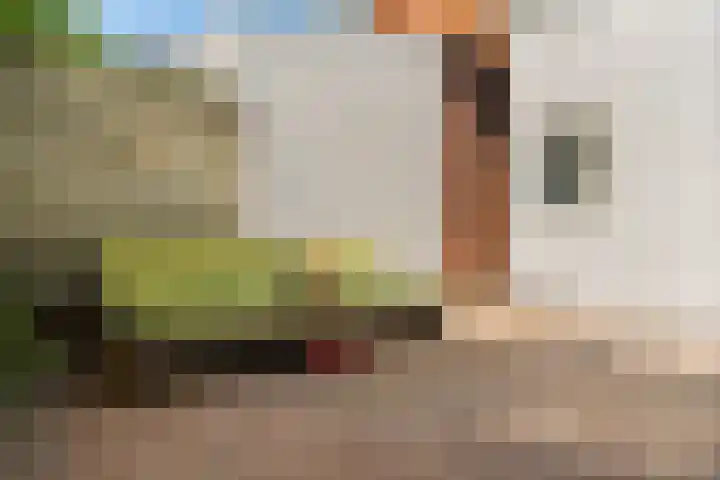 Selwerderstraat 34 Groningen thumbnail 38