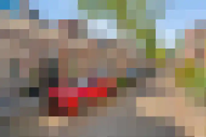 Selwerderstraat 34 Groningen thumbnail 5