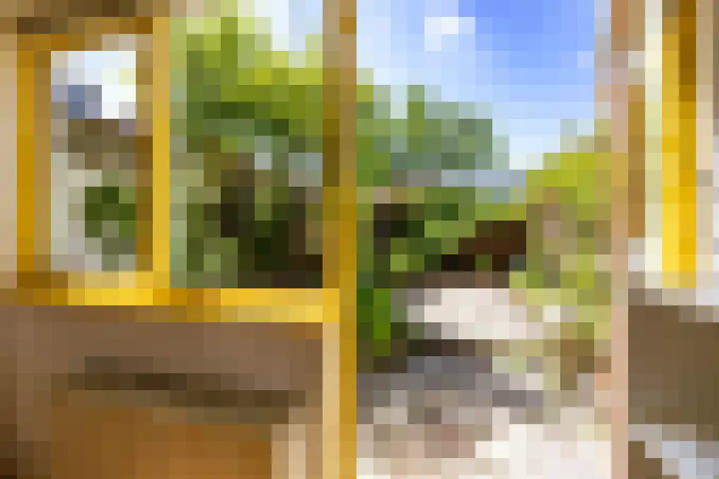 Selwerderstraat 36 Groningen thumbnail 19