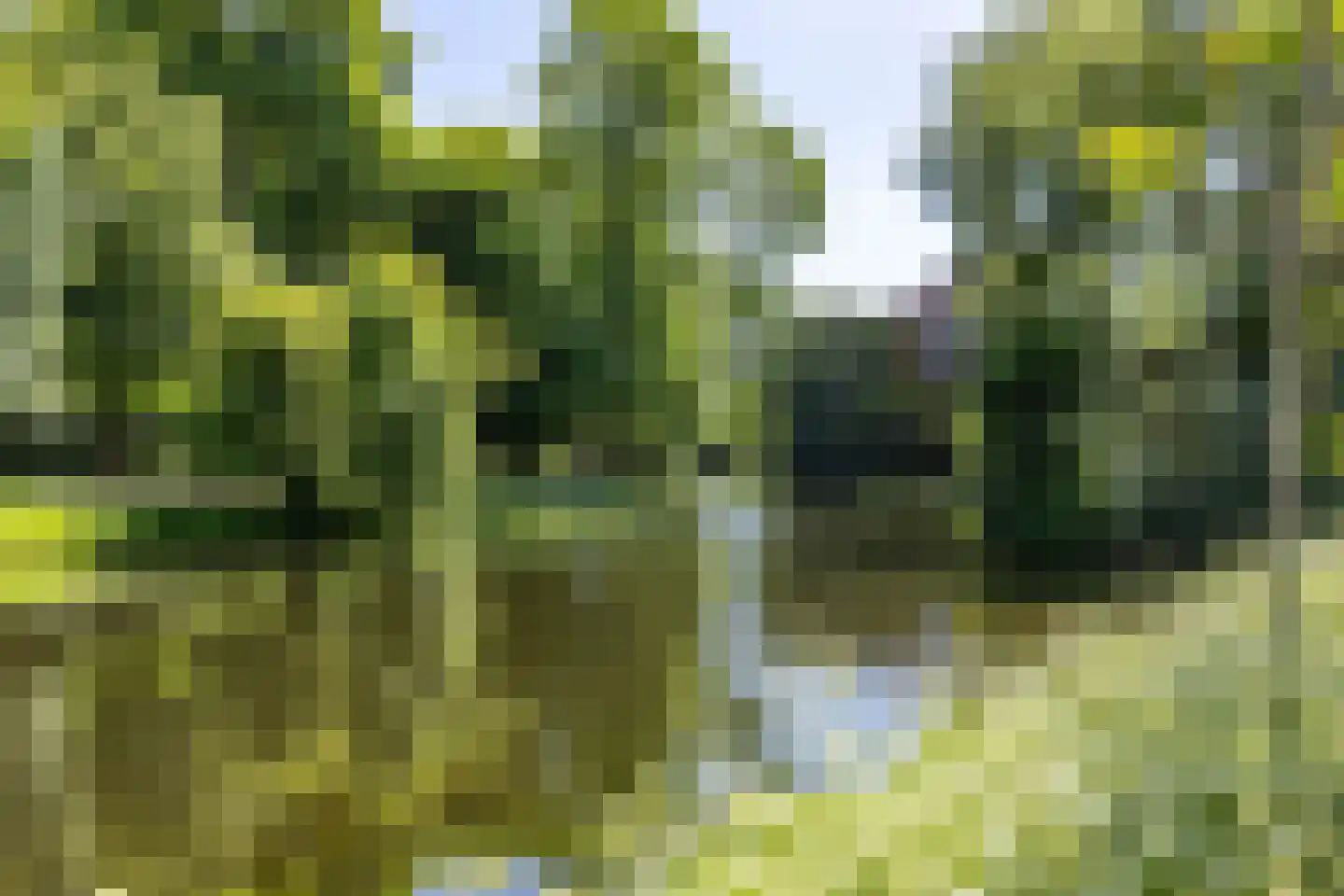 Selwerderstraat 36 Groningen thumbnail 34