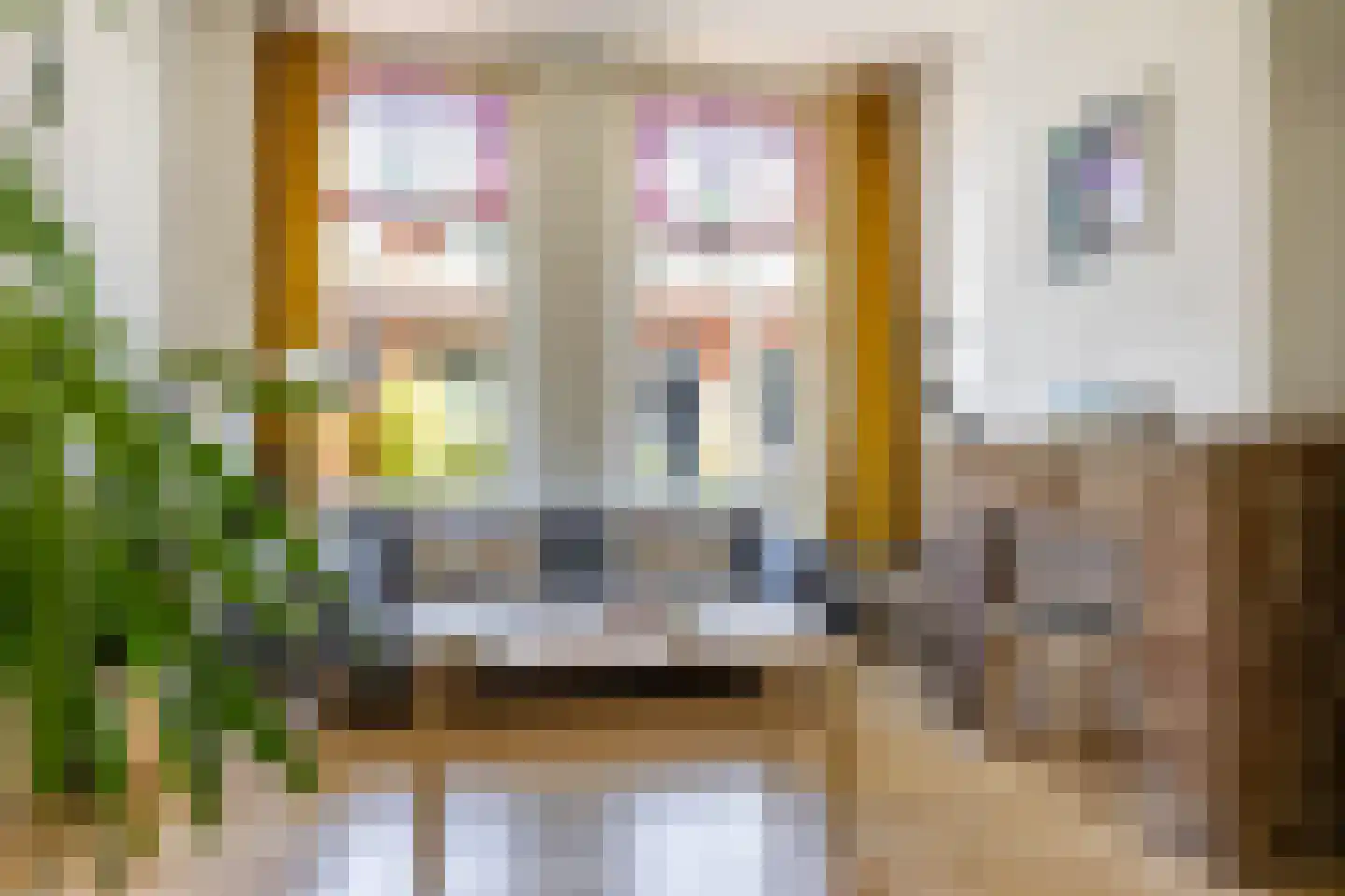Selwerderstraat 36 Groningen thumbnail 8