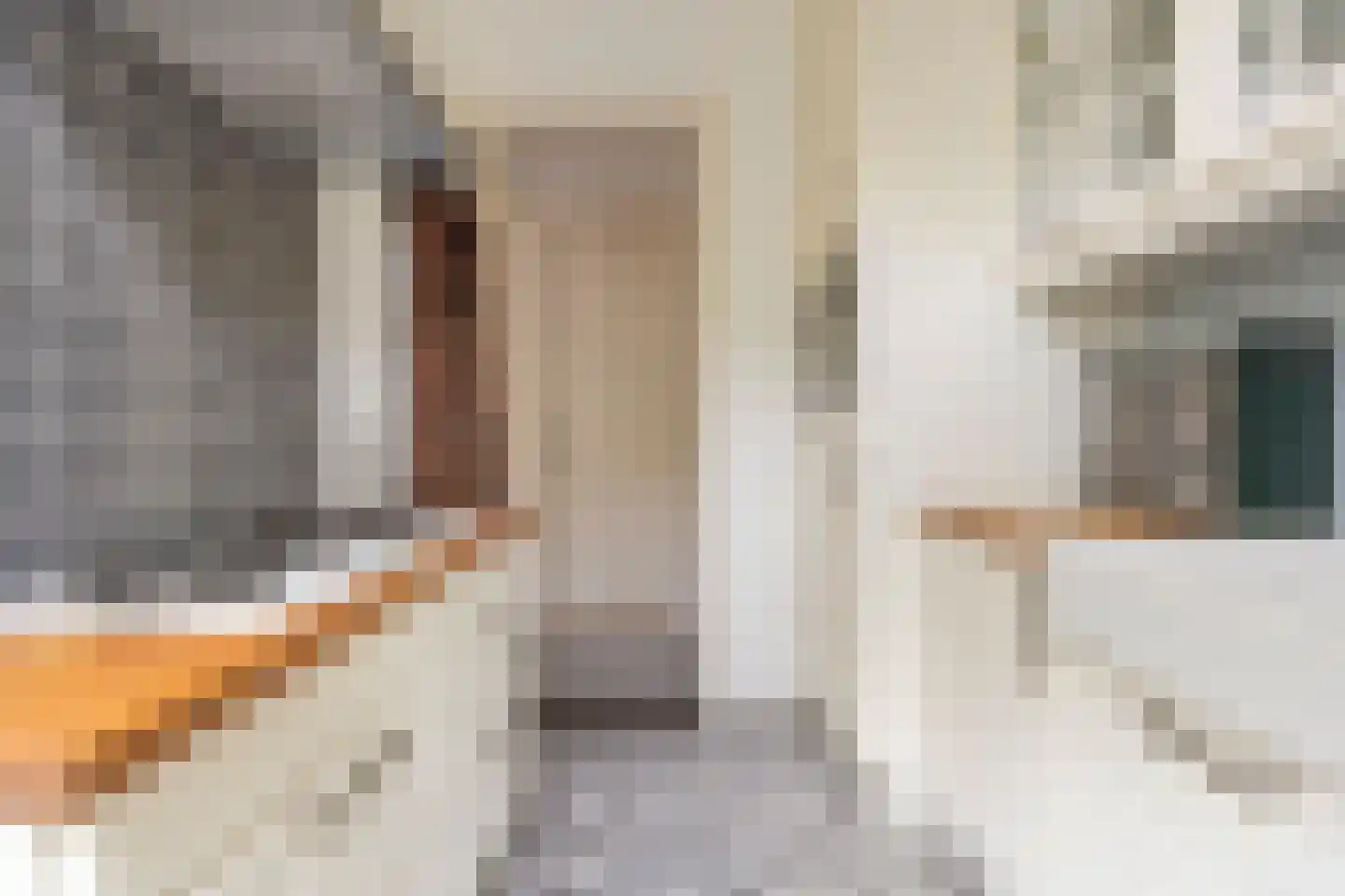 Selwerderstraat 45 Groningen thumbnail 22