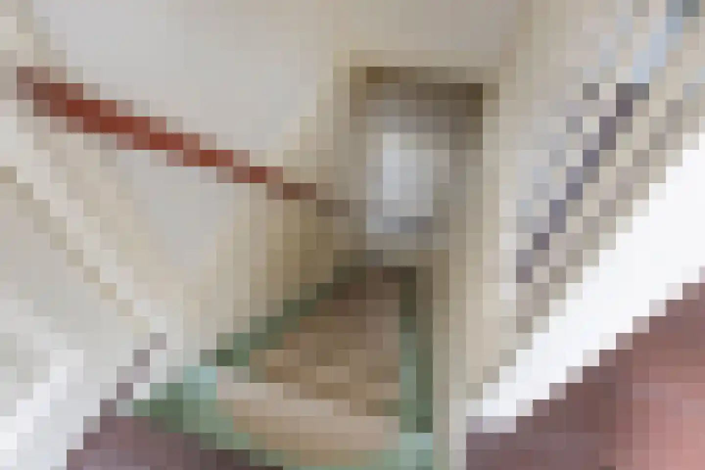 Selwerderstraat 45 Groningen thumbnail 24