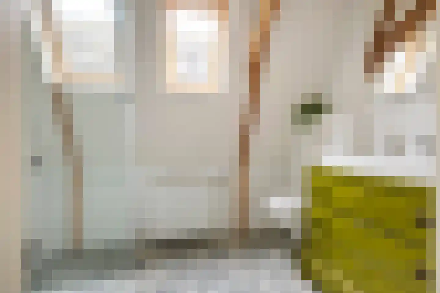 Selwerderstraat 45 Groningen thumbnail 32