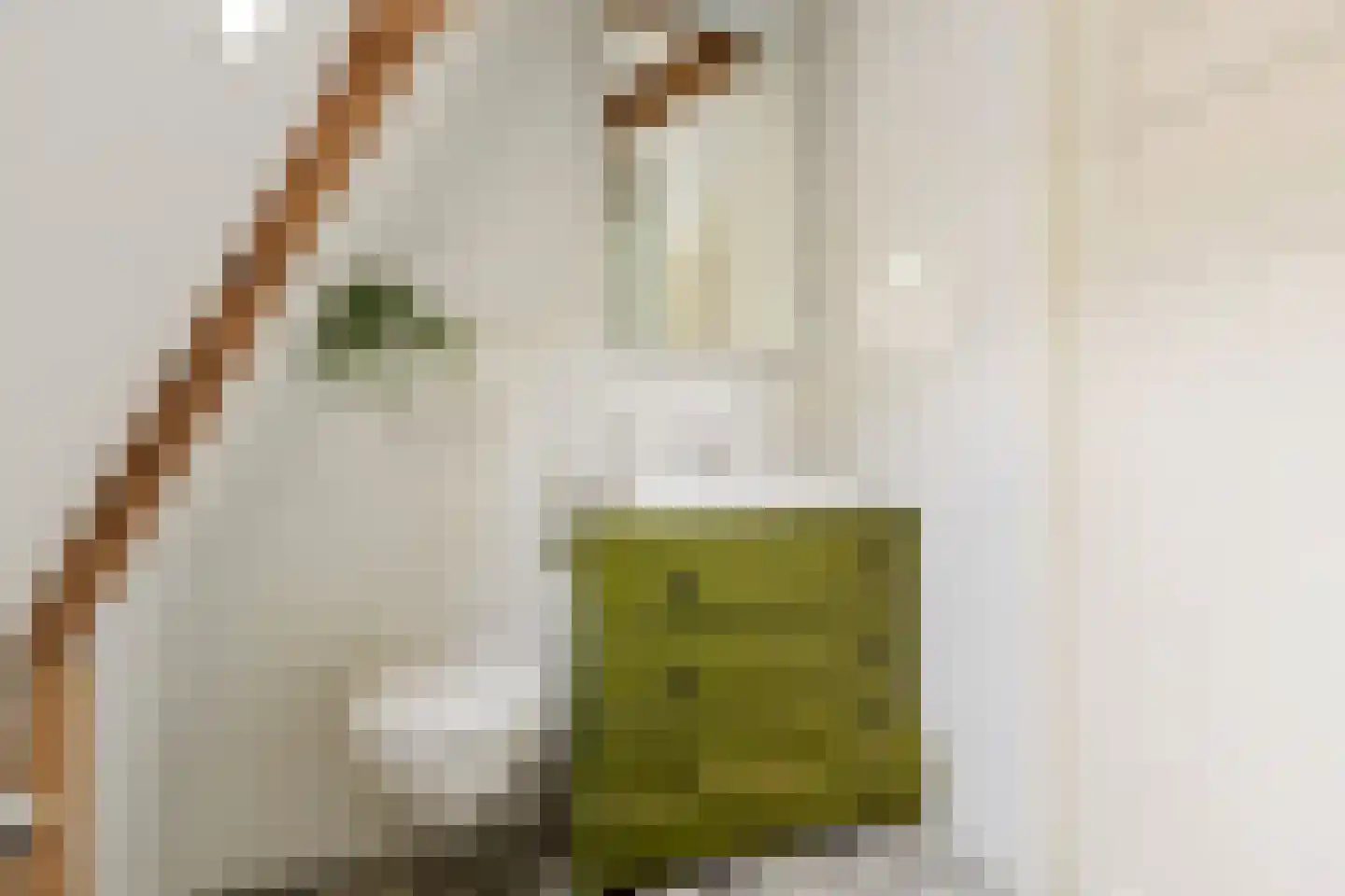Selwerderstraat 45 Groningen thumbnail 33