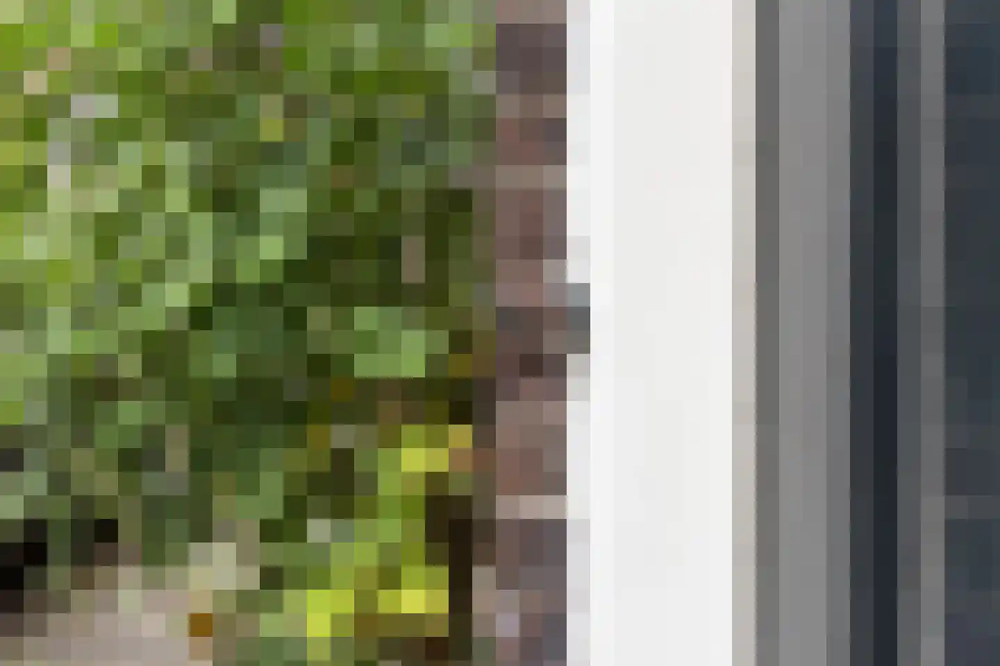 Selwerderstraat 45 Groningen thumbnail 8